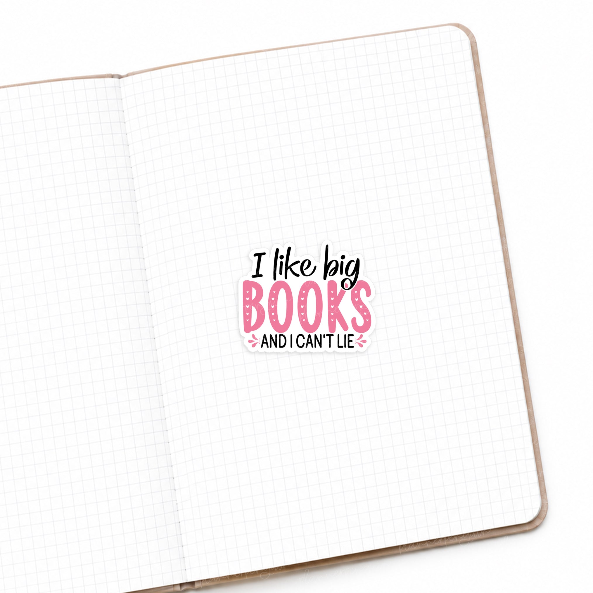 I Like Big Books and I Can't Lie Matte Die Cut Sticker