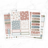 Neutral Spring Weekly B6 Kit