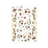 Countryside Deco Stickers  // #S172-Deco