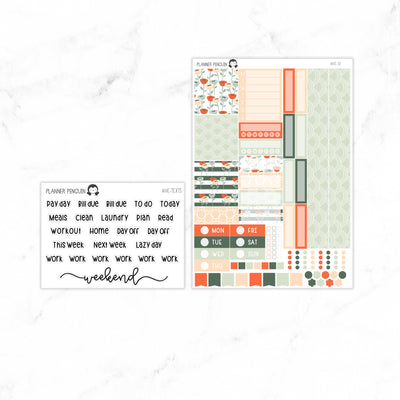 Summer Meadow Hobonichi Cousin A5 Weekly Sticker Kit// #HC-10