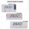 Monthly Script stickers  // #MS-03