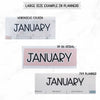 Monthly Script stickers // #MS-04