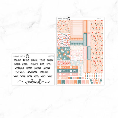 Peach Floral Hobonichi Cousin A5 Weekly Sticker Kit// #HC-24
